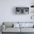 thumbnail image 3 of Steve Crockett 'Pet Portrait Of A Cane Corso And Jack Russells' Canvas Art, 3 of 4