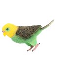 thumbnail image 4 of Simulation Parrot Model Solid Static Artificial Parrot Model Toy Desktop Ornament, 4 of 8