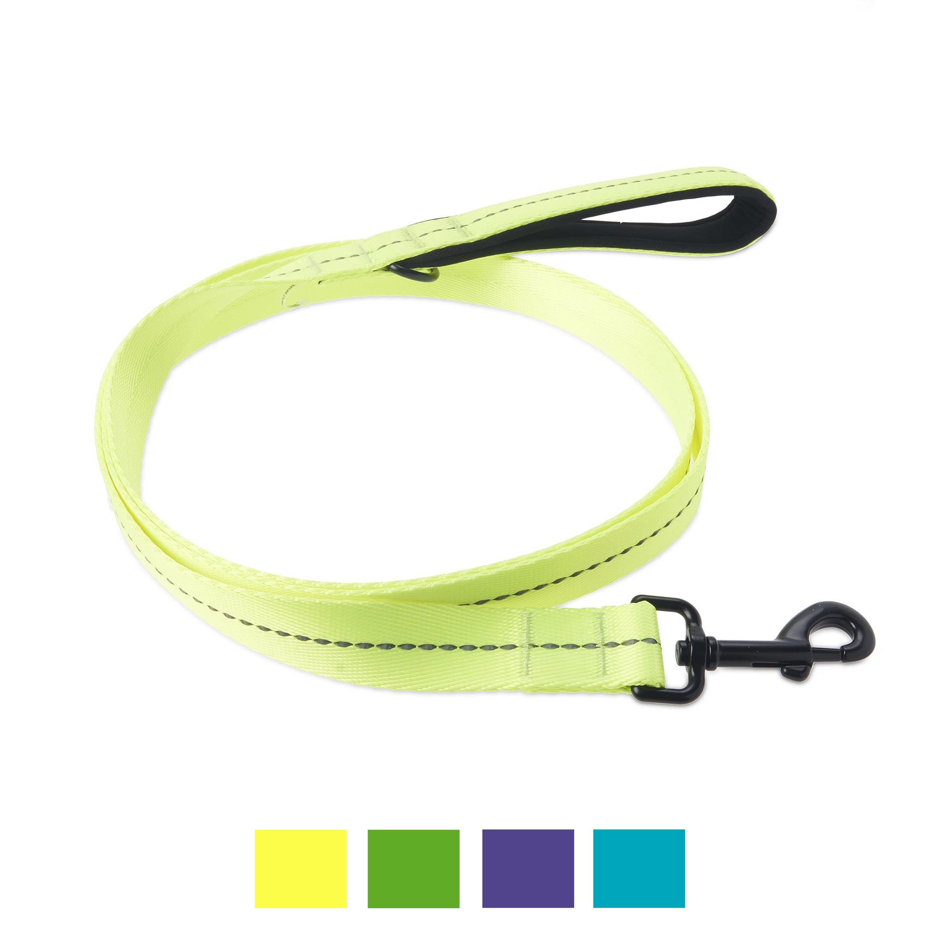 vibrant life leash