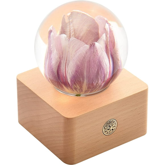 shiyou-Forever Pink Tulip Real Flower in Crystal Ball with LED Lights,Best Gifts for Her Wife Girlfriend Women, Anniversary, Mothers Day, Birthday, Valentine's Day Home Décor
