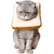 thumbnail image 2 of Adjustable Cat Cone Collar Soft, Cat Recovery Collar, After Surgery Neck Cone, Elizabethan Collar for Kitten-L, 2 of 5