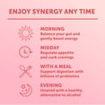 thumbnail image 5 of (3 pack) Synergy Guava Goddess Kombucha 48 fl oz, 5 of 7