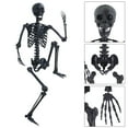 thumbnail image 4 of bestolf Haunted House Decore Indoor Outdoor,5ft/165cm Halloween Skeleton, Full Body Skeleton, Poseable Skeleton Decoration Realistic , Pose Skeleton Prop, 4 of 13