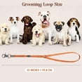 thumbnail image 2 of Paquete de 3 sogas de sujeción de nailon para perros Grooming Loop Hhimyoct, 2 of 7