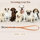 thumbnail image 2 of Paquete de 3 sogas de sujeción de nailon para perros Grooming Loop Hhimyoct, 2 of 7