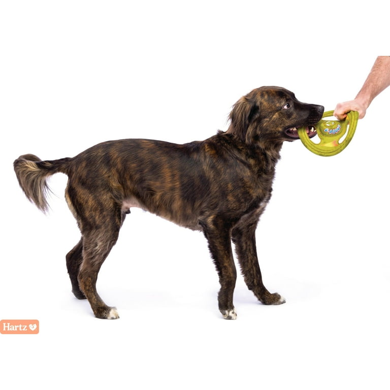 Dog Chew Toys Super Tough Dog Frisbee Hartz Tuff Stuff Toss