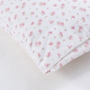 Modern Threads 4-Piece Sweet Rose Silky Soft Microfiber Adult Sheet Set, Ivory, Twin