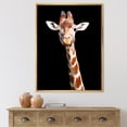 thumbnail image 2 of Designart 'Close Up Portrait Of A Giraffe On Black V' Farmhouse Framed Canvas Wall Art Print, 2 of 5