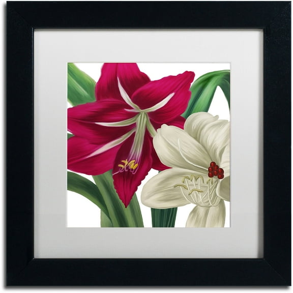 Trademark Fine Art "Christmas Amaryllis I" Canvas Art by Color Bakery White Matte, Black Frame
