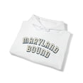 thumbnail image 4 of Moving to Maryland Hoodie, Gifts, Hooded Sweatshirt, 4 of 4