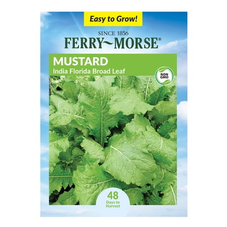Ferry-Morse 1.25G Mustard India Florida Broad Leaf Annual Vegetable Seeds, Full Sun