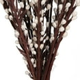 thumbnail image 4 of Vickerman Natural Botanicals 28" Moti Stick, Bleached. Includes 20 pieces per Pack., 4 of 6