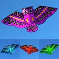 thumbnail image 2 of GWONG Outdoor Colorful Cartoon Owl Easy Flying Kite with 50m Line Children Kids Toys, 2 of 10