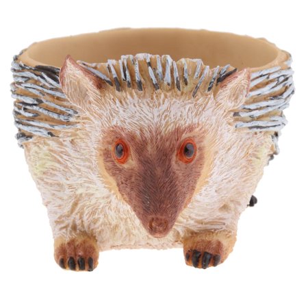 Flower Pot / Planter Pet for Home, Office Desktop