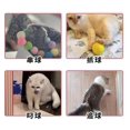 thumbnail image 4 of Pelota de peluche creativa para gatos yuxing Juguete para gatos pistola de tiro 20 piezas elásticas, 4 of 5