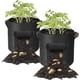 thumbnail image 1 of Paquete de 2 bolsas para cultivo de patatas, bolsas de cultivo de 10 galones, maceta con asas y ventana de cosecha para patatas, tomates, bolsas para plantar en jardinería, 1 of 5