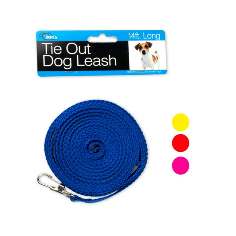 Dog TieOut Leash