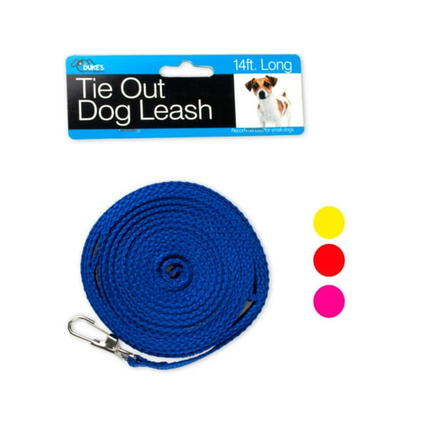 Dog Tie-Out Leash - Walmart.com - Walmart.com