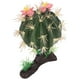 thumbnail image 4 of Adorno de plantas de cactus de reptiles, decoración de cactus de reptiles, plantas de reptiles, decoración de terrario, decoración de plantas de cactus artificiales, elaborado por expertos, 4 of 8
