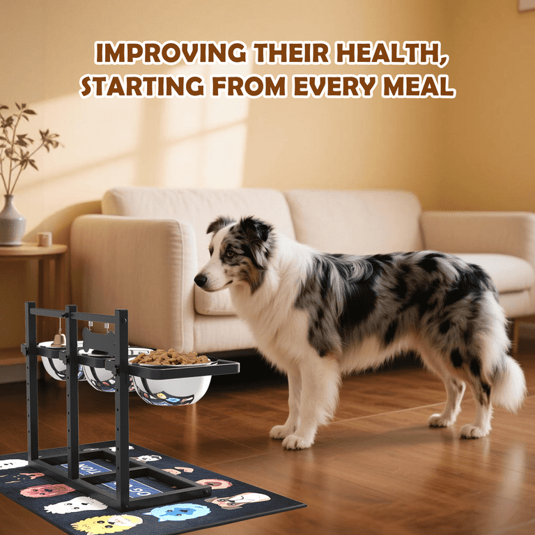 Shainfun 6-Height Adjustable Dog Bowl Stand, 3 Stainless Steel Bowls photo 5