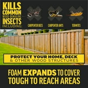 Amdro Quick Kill Carpenter Ant, Bee, Termite Killer Foam 18oz 2 Pack Bundle