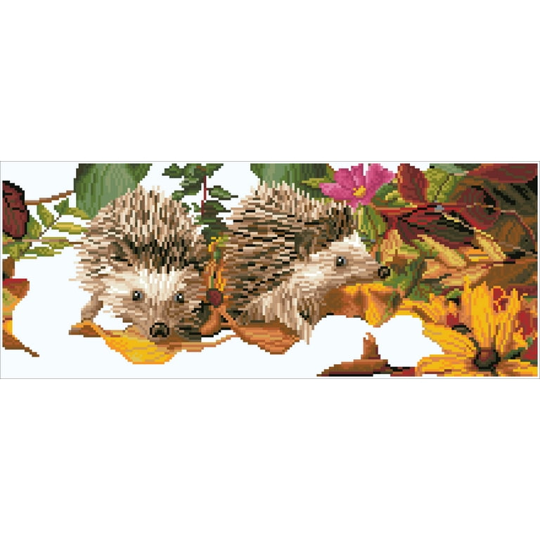 Diamond Art Kit 8x8 Beginner Hedgehog, 1 - Pay Less Super Markets