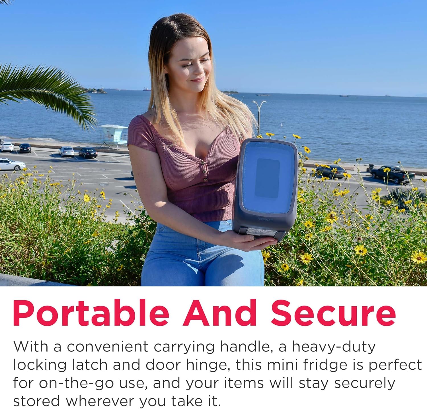 Beverage Refrigerator with LED Lights, Portable Cooler for Gaming, Skincare &