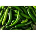 thumbnail image 4 of 200 Seeds Hot SERRANO TAMPIQUENO PEPPER Mexican Chile Capsicum Annuum Vegetable Seeds, 4 of 9