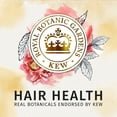 thumbnail image 6 of Herbal Essences Bio:Renew Conditioner, Honey and Vitamin B, 13.5 oz, 6 of 6