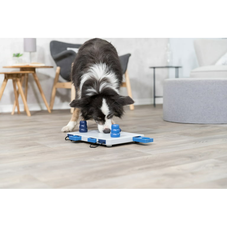 Trixie Flip Board Dog Puzzle Review Video