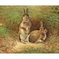 thumbnail image 3 of Victor Stoetzner-Lund 14x12 Black Modern Framed Museum Art Print Titled - Rabbits (1925), 3 of 5