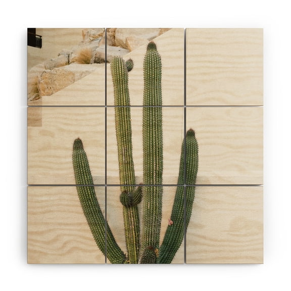 Society6 Bethany Young Photography Cabo Cactus X Wood Wall Mural 3' x 3'