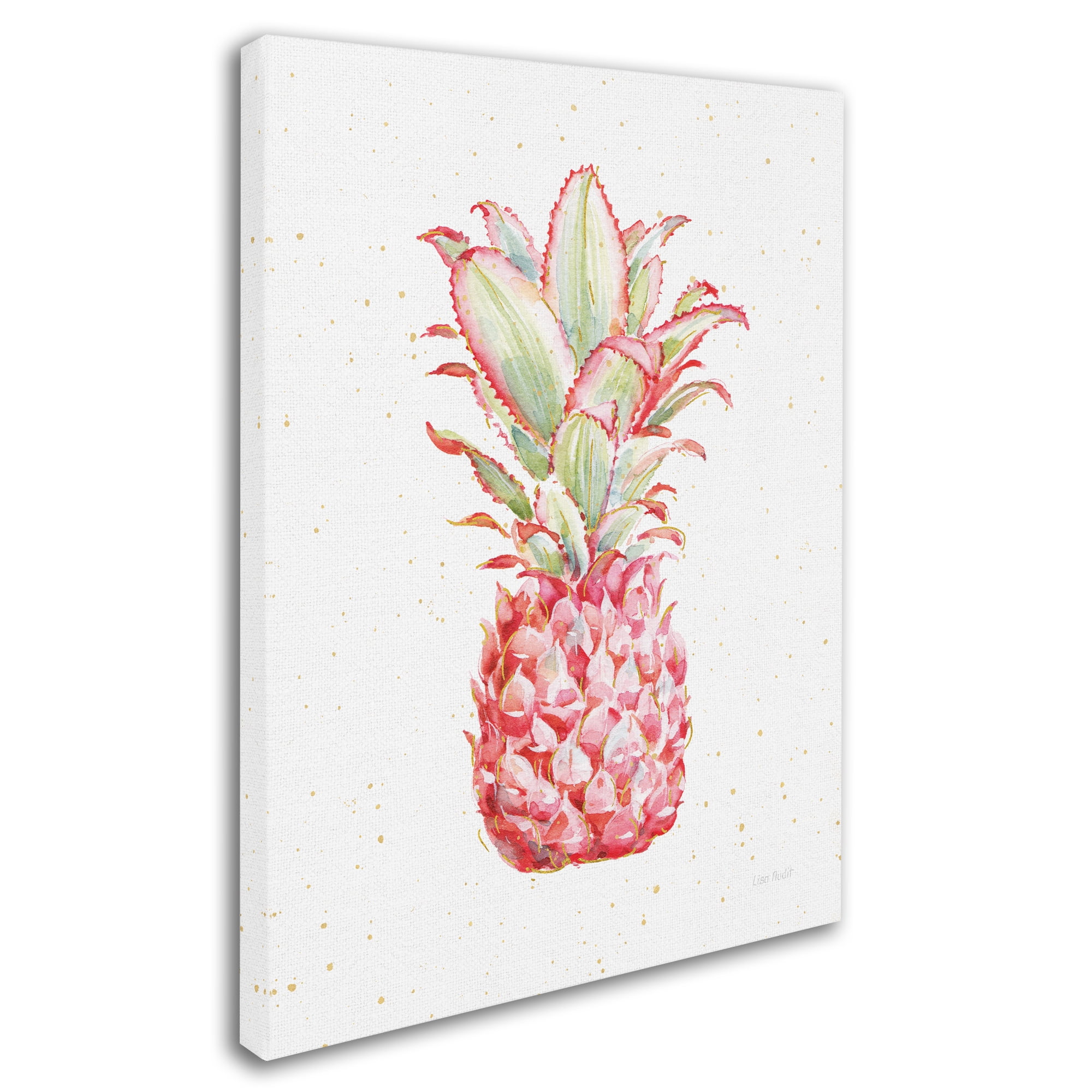 Trademark Fine Art 'Gracefully Pink XI' Canvas Art by Lisa Audit
