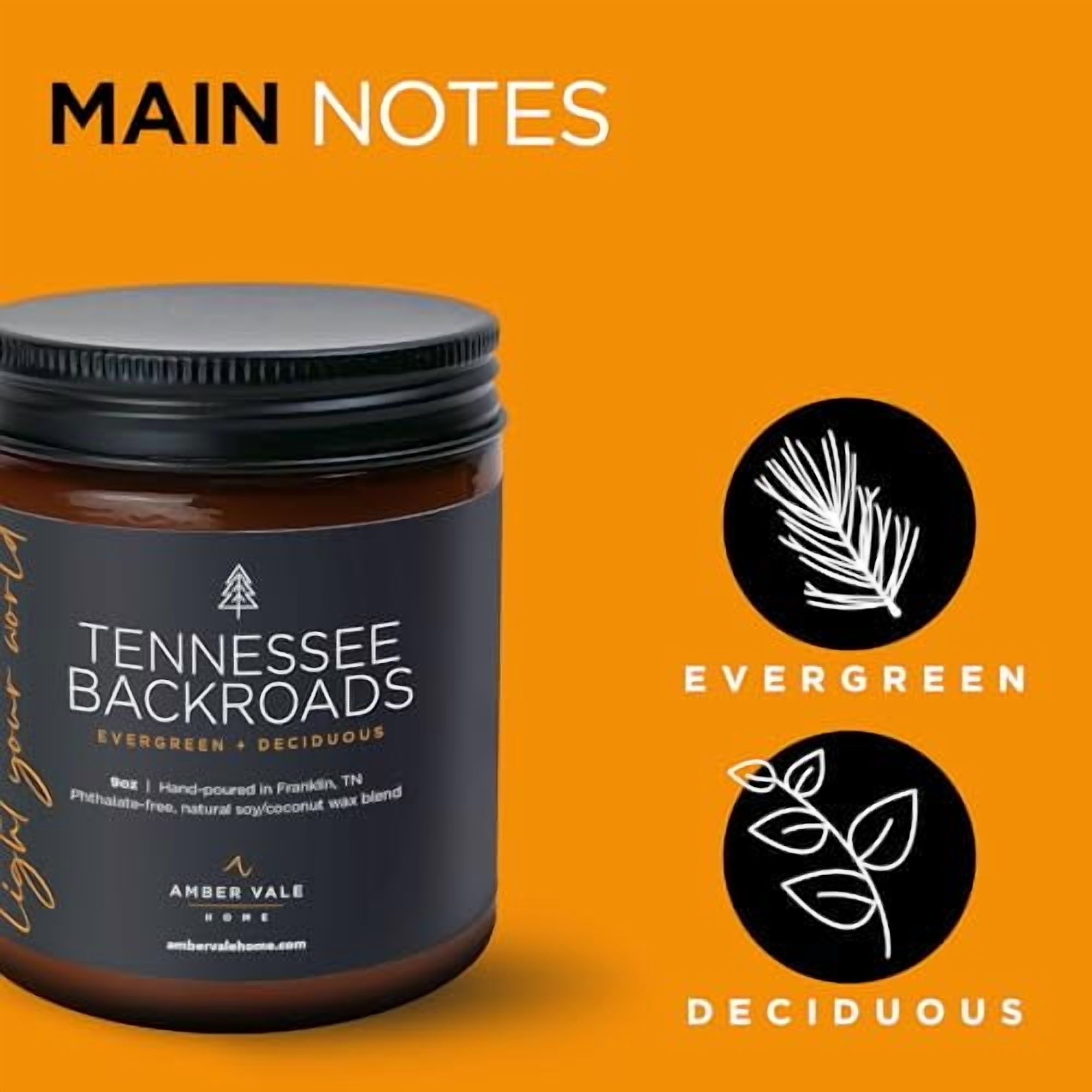 Amber Vale Home Tennessee BACKROADS, Evergreen and Deciduous Pine Scented Natural Soy and Coconut Wax Candle, Phthalate Free, Non-Toxic and Healthy Clean Burning, 9oz Jar