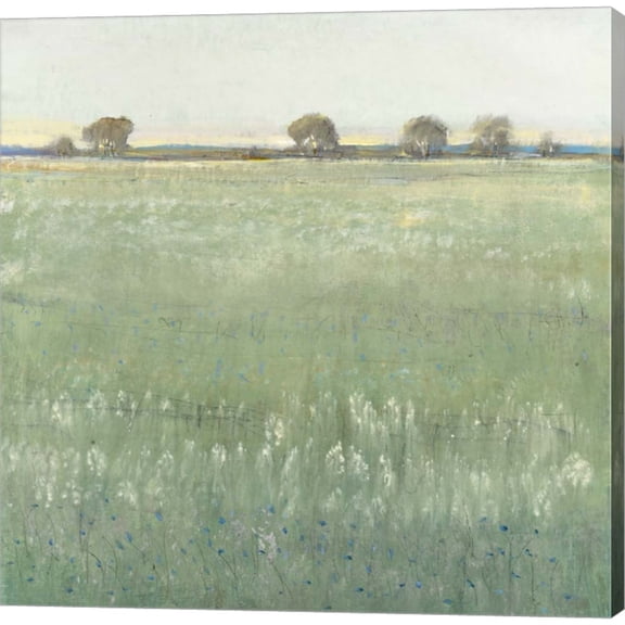 Great Art Now Green Meadow I by Timothy O'Toole, Canvas Wall Art, 12W x 12H