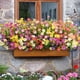 thumbnail image 5 of Flores Artificiales para Exteriores, 24 Paquetes de Plantas Artificiales para Exteriores, Flores Artificiales, Plantas Artificiales Resistentes A los Rayos UV, para Exteriores, 5 of 5