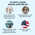 thumbnail image 4 of Sunny & Honey Carpet Cleaner Solution - Rug Shampoo & Upholstery Cleaning Solution - Pet Surface Odor Eliminator & Pet Stain Remover (32 fl oz, Fresh Summer Scent), 4 of 9