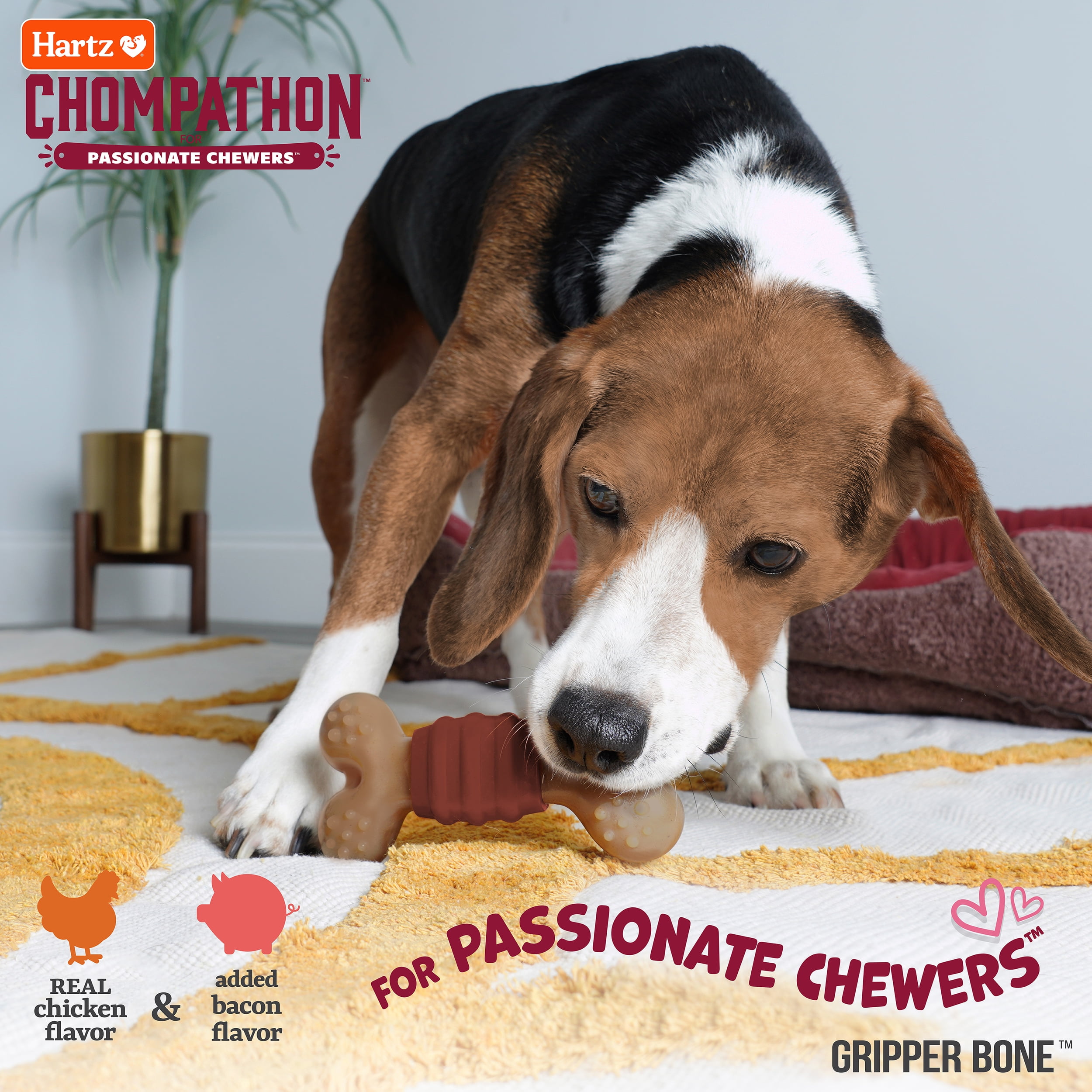 (3 pack) Hartz Chompathon Rock 'N Rib Bone, Nylon, Tough Dog Chew Toy