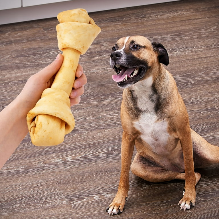 Are All Rawhide Bones Bad For Dogs