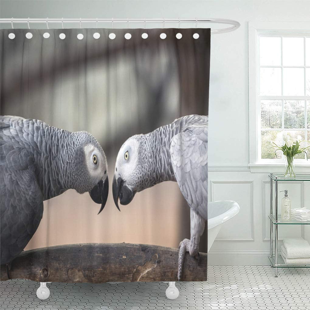 Yusdecor Red Black Parrot Grey Gray Beak Bathroom Decor Bath Shower Curtain 66x72 Inch Walmart Canada