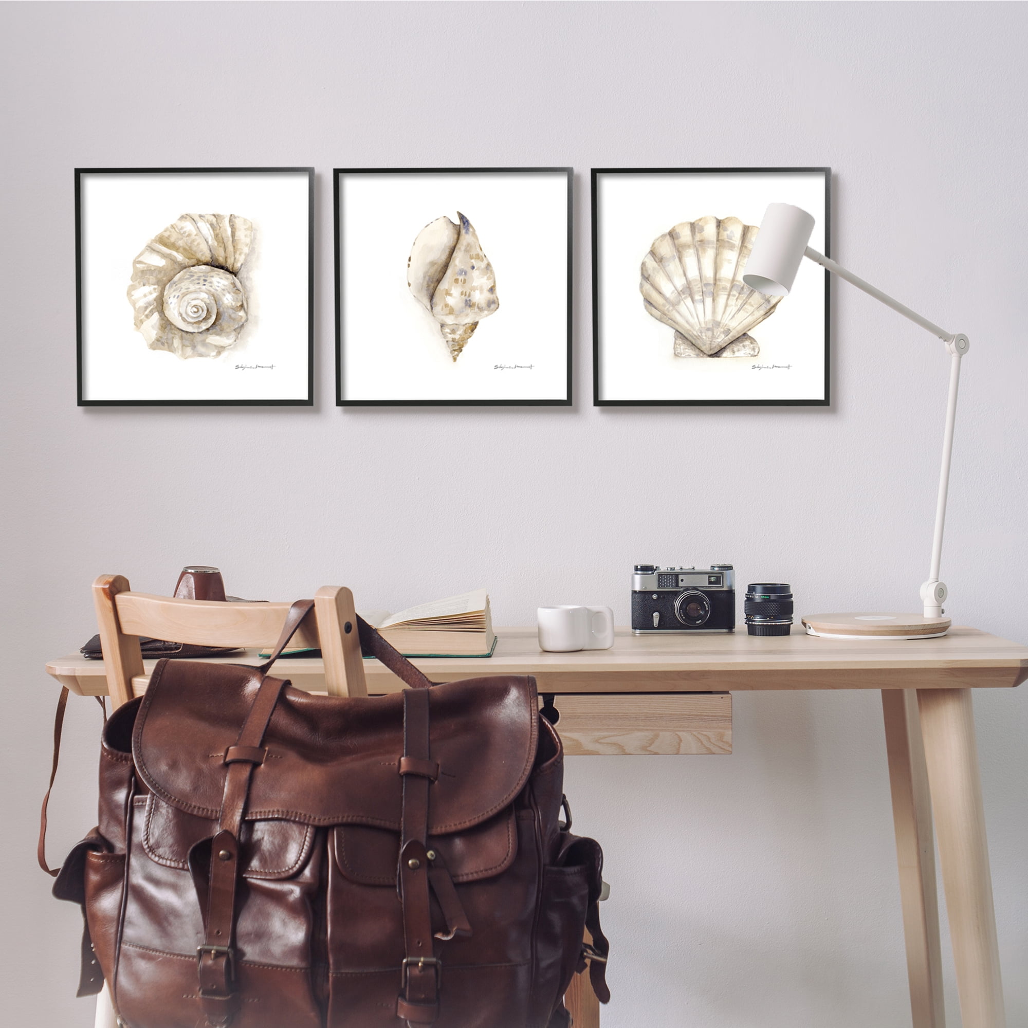 Stupell Industries Soft White Patterned Seashells Nautical Natural Neutrals, 17 x 1.5 x17,Design by Stephanie Workman Marrott