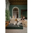 thumbnail image 2 of Cama para perros NOAH & PAW XL, 114 x 89 x 23 cm, refrigeración ortopédica, 2 of 8