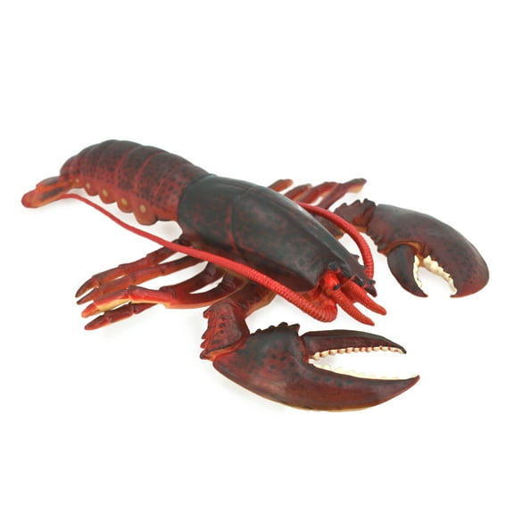 Lobster, East Coast, Maine, Red, Hard Rubber Crustaceans, Educational, Figure, Lifelike, Model, Replica, Gift, 9" F4070 B91