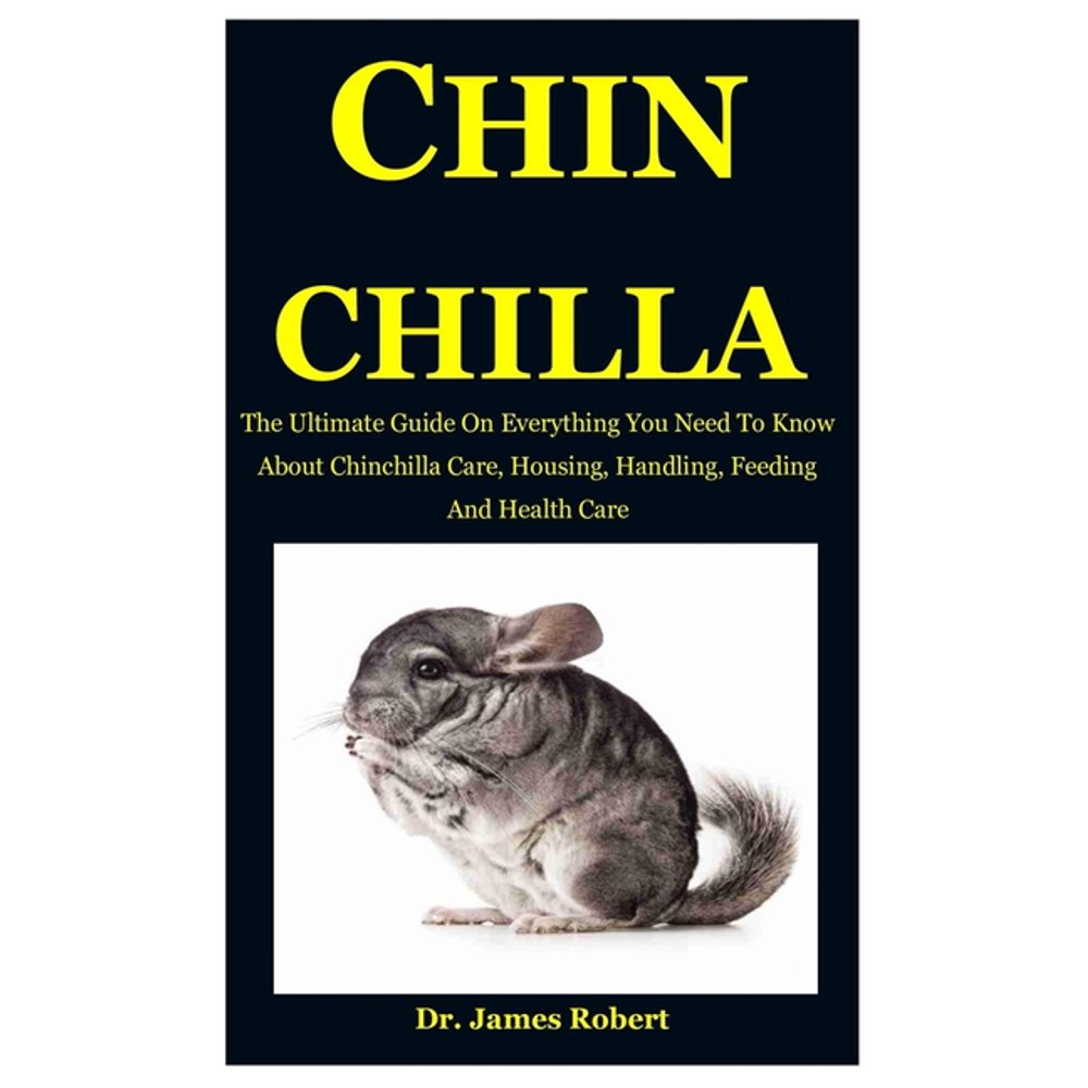 Chinchilla The Ultimate Guide On Everything You Need To Know About