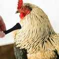 thumbnail image 4 of BESTYASH 10Ud Piezas Para Pollos Y Con Estructura Eficaz Y Uso Doméstico, 4 of 8