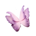 thumbnail image 1 of ZLight Artificial Butterfly 3D 60cm for Wedding DIY Shop Decorations Green Display Window Violet 60cm, 1 of 6