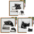 thumbnail image 1 of Hilo Algodón Ecológico Bordado Impresión 11CT Libro Punto Cruz Gato 40x40cm, 1 of 8