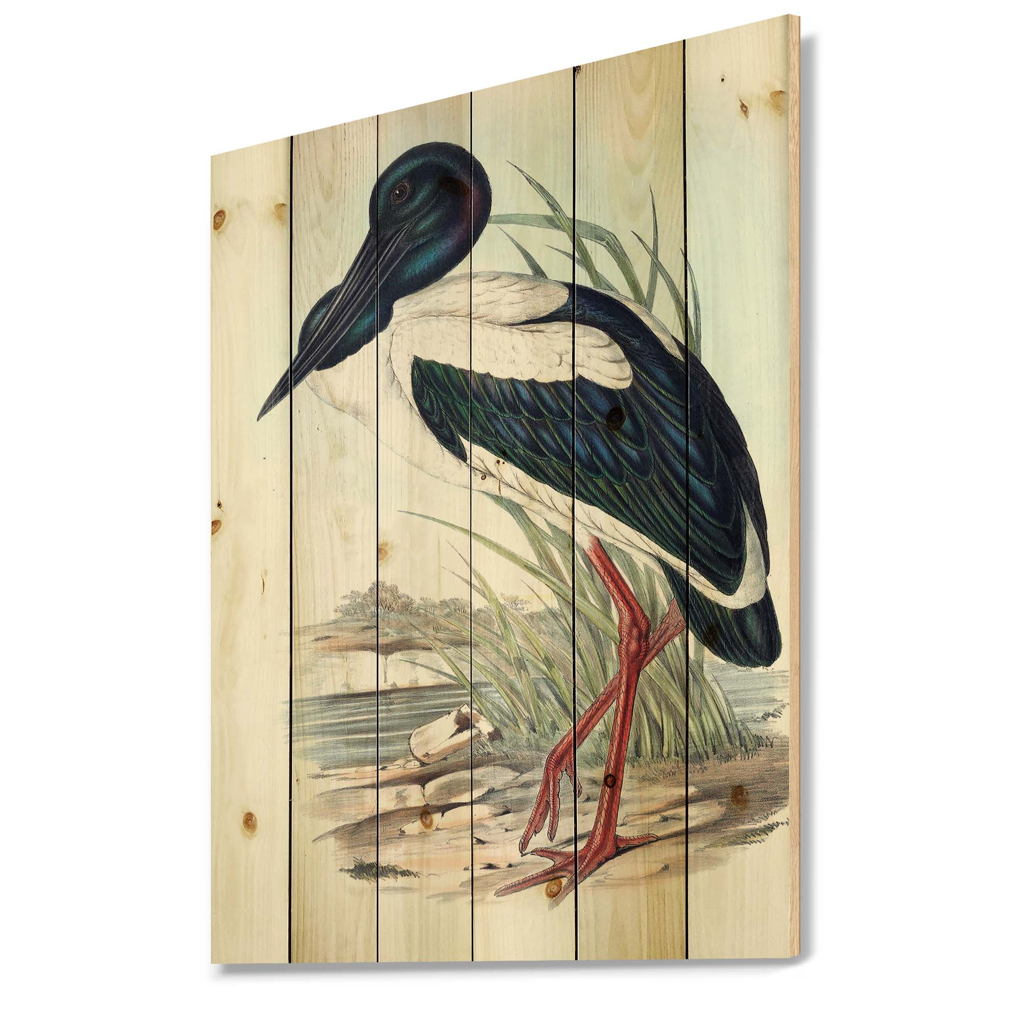 Designart 'Australian Vintage Birds I' Traditional Print on Natural Pine Wood