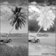 thumbnail image 2 of Filtro infrarrojo 87 Tiffen de 62 mm, 2 of 2