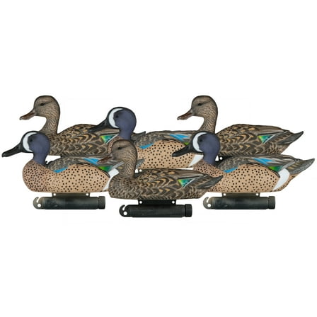 Dakota Decoy X-Treme Blue Wing Teal Duck Decoy 6PK